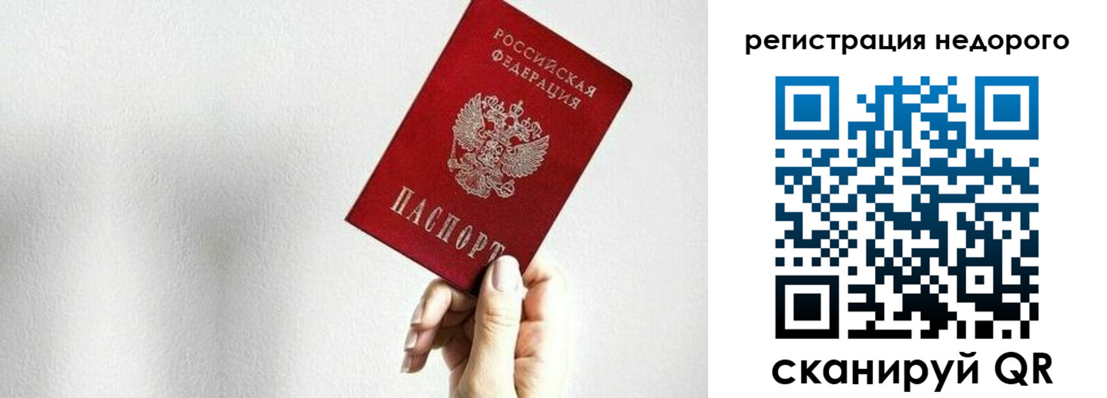 прописка в квартире в Новом Осколе